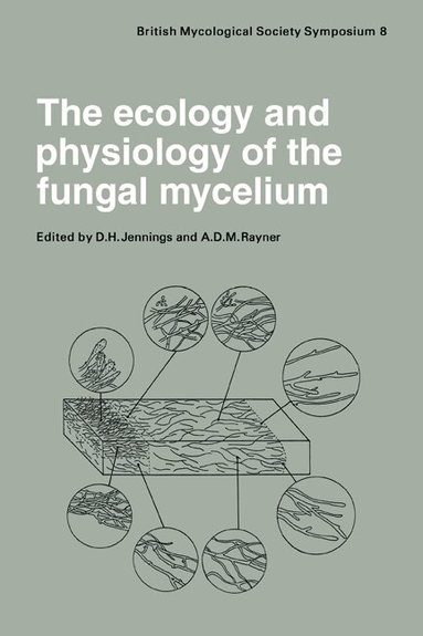 D. H. Jennings, A. D. M. Rayner - The Ecology and Physiology of the Fungal Mycelium, Häftad