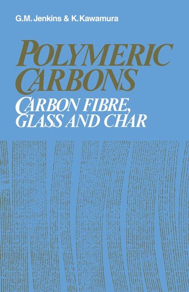 bokomslag Polymeric Carbons