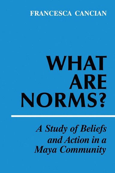 bokomslag What Are Norms?