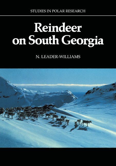 Reindeer on South Georgia 1