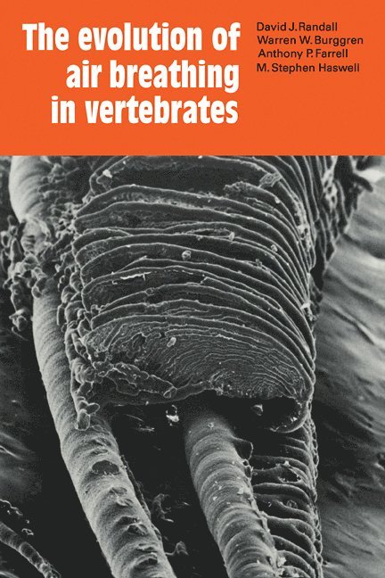 The Evolution of Air Breathing in Vertebrates 1