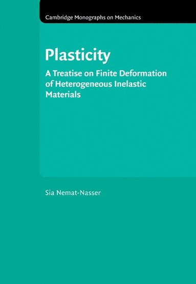 bokomslag Plasticity