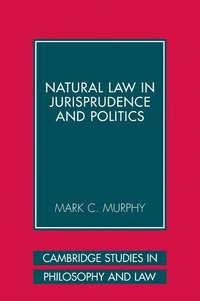 bokomslag Natural Law in Jurisprudence and Politics