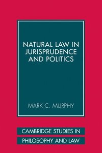 bokomslag Natural Law in Jurisprudence and Politics