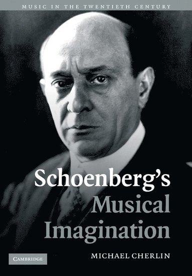 bokomslag Schoenberg's Musical Imagination