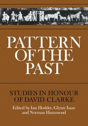 Ian Hodder, Glynn Isaac, Norman Hammond - Pattern of the Past, Häftad