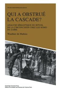 bokomslag Qui a obstrue la cascade?