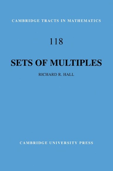 bokomslag Sets of Multiples
