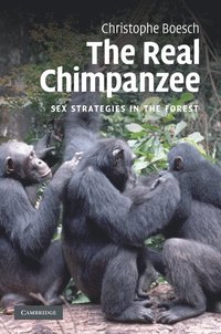 bokomslag The Real Chimpanzee