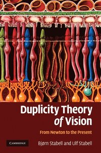 bokomslag Duplicity Theory of Vision