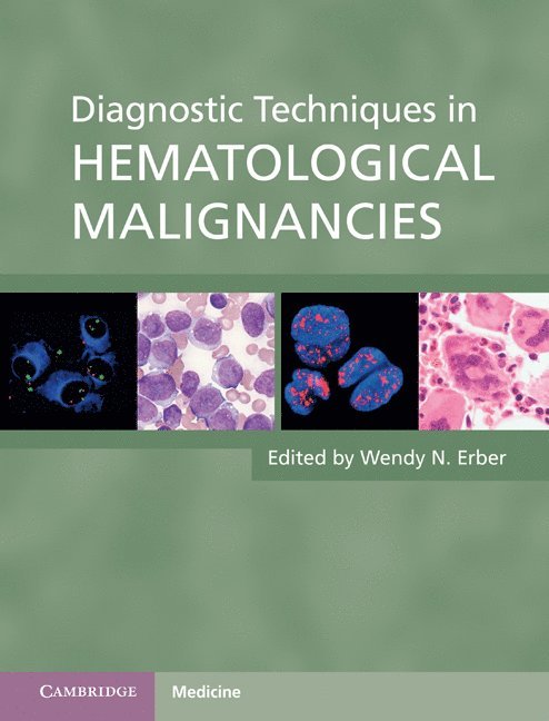 Wendy N. Erber, Wendy N Erber - Diagnostic Techniques in Hematological Malignancies, Inbunden
