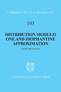 bokomslag Distribution Modulo One and Diophantine Approximation