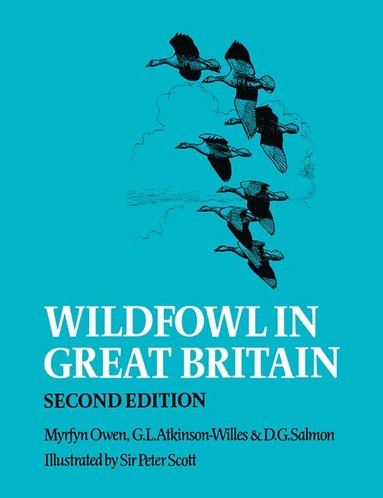 bokomslag Wildfowl in Great Britain
