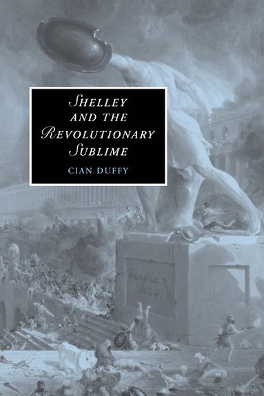 bokomslag Shelley and the Revolutionary Sublime