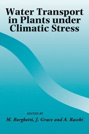 M. Borghetti, J. Grace, A. Raschi - Water Transport in Plants under Climatic Stress, Häftad