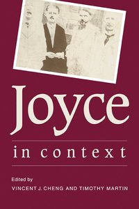 bokomslag Joyce in Context