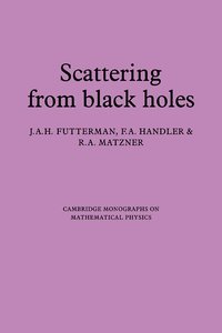 bokomslag Scattering from Black Holes