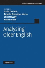 bokomslag Analysing Older English