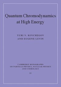 bokomslag Quantum Chromodynamics at High Energy