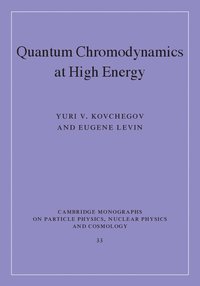 bokomslag Quantum Chromodynamics at High Energy