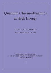Yuri V. Kovchegov, Eugene Levin - Quantum Chromodynamics at High Energy, Inbunden