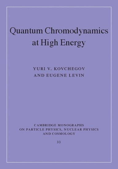 bokomslag Quantum Chromodynamics at High Energy