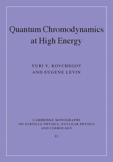 bokomslag Quantum Chromodynamics at High Energy