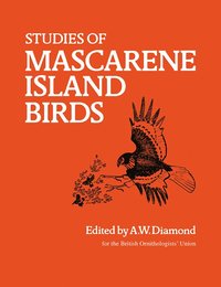 bokomslag Studies of Mascarene Island Birds