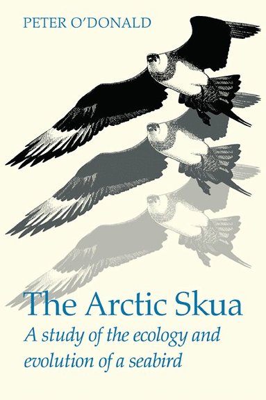 bokomslag The Arctic Skua