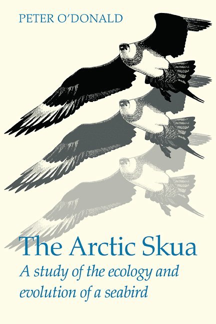 The Arctic Skua 1