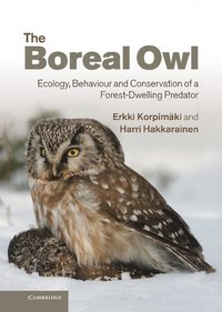 bokomslag Boreal Owl