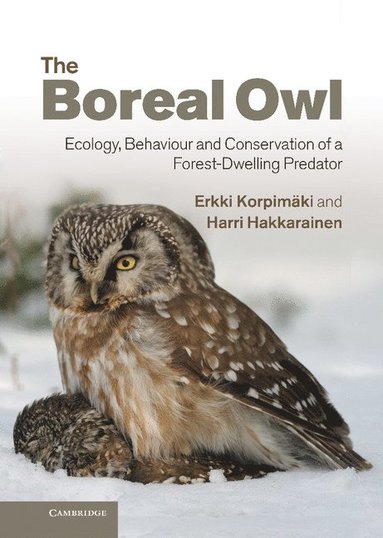 bokomslag Boreal Owl