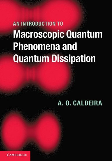 bokomslag Introduction to Macroscopic Quantum Phenomena and Quantum Dissipation