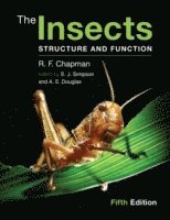 The Insects 1