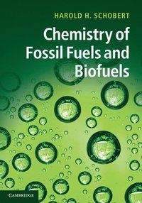 bokomslag Chemistry of Fossil Fuels and Biofuels