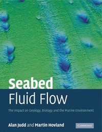 bokomslag Seabed Fluid Flow