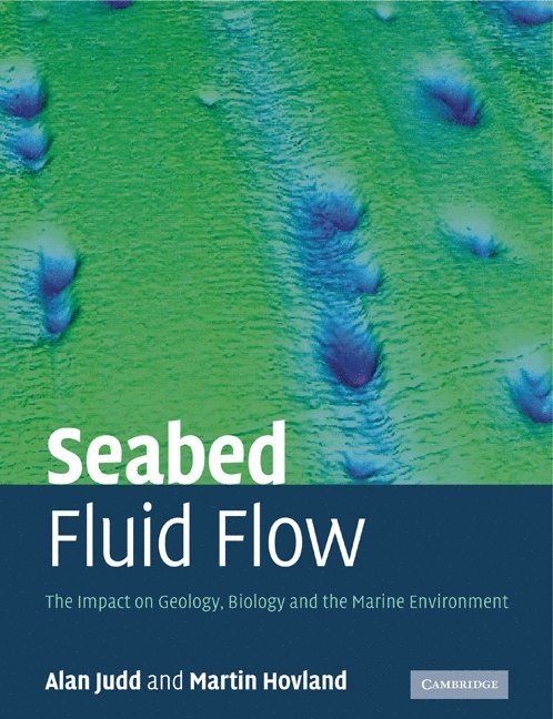 Seabed Fluid Flow 1
