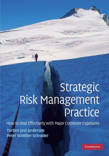 bokomslag Strategic Risk Management Practice