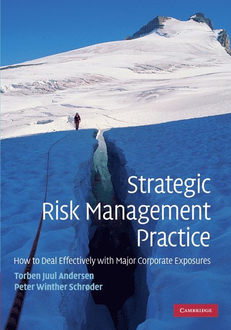 Strategic Risk Management Practice 1