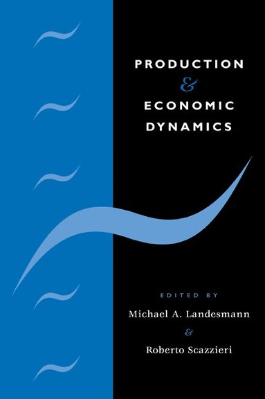 Michael A. Landesmann, Roberto Scazzieri - Production and Economic Dynamics, Häftad