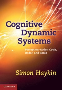 bokomslag Cognitive Dynamic Systems