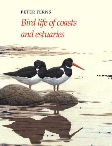 P. N. Ferns - Bird Life of Coasts and Estuaries, Häftad
