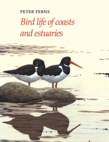 bokomslag Bird Life of Coasts and Estuaries