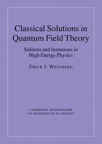 bokomslag Classical Solutions in Quantum Field Theory