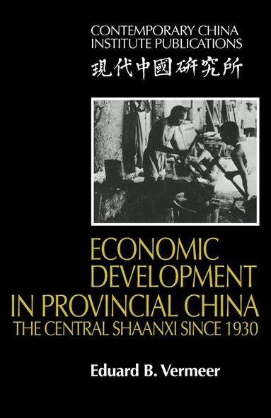 Eduard B. Vermeer - Economic Development in Provincial China, Häftad