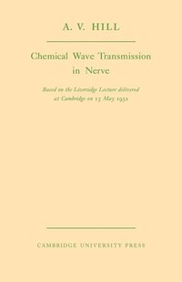 bokomslag Chemical Wave Transmission in Nerve