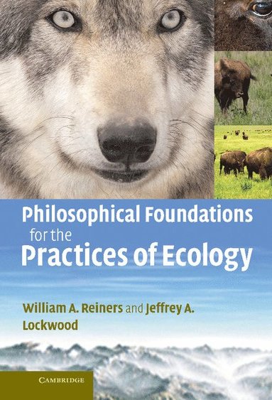 bokomslag Philosophical Foundations for the Practices of Ecology