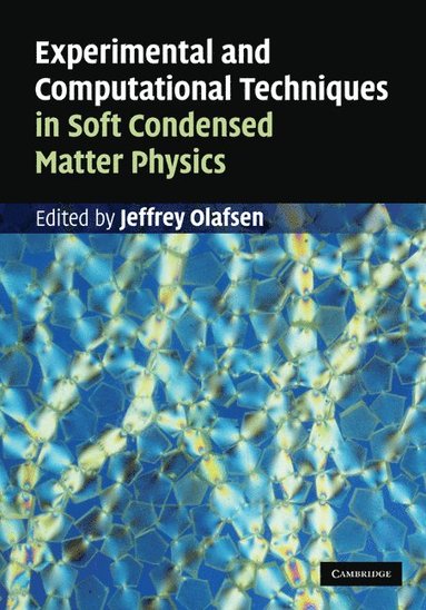 bokomslag Experimental and Computational Techniques in Soft Condensed Matter Physics