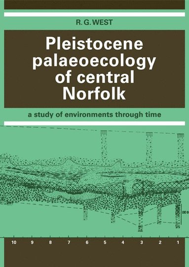 bokomslag Pleistocene Palaeoecology of Central Norfolk