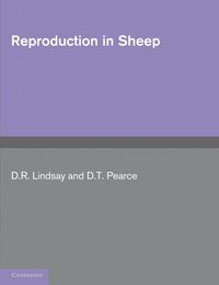 bokomslag Reproduction in Sheep